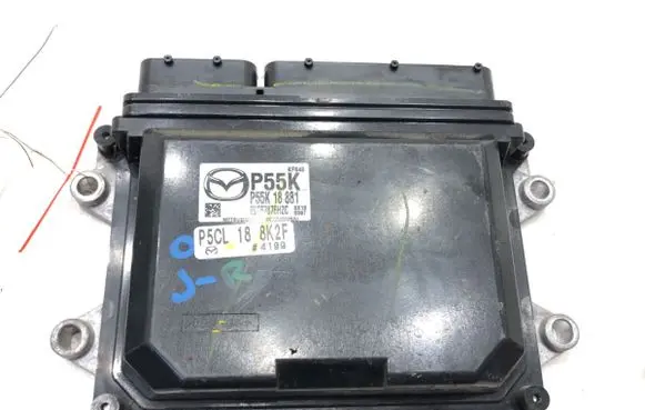 Engine control unit/module ECU