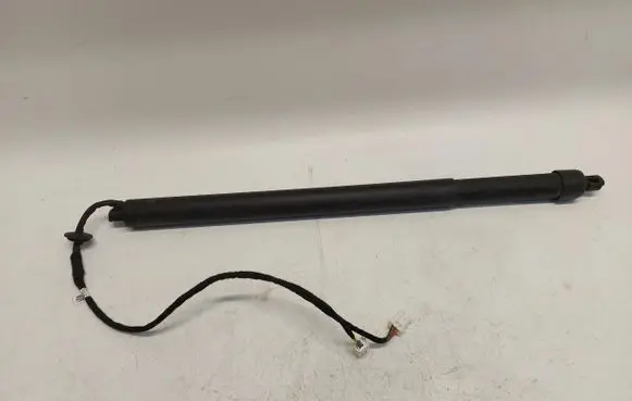 Tailgate strut