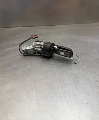 Citroen Berlingo Ignition lock N0502455