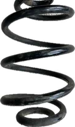 Rear coil spring