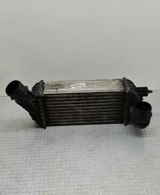 Peugeot 5008 Intercooler radiator 9673015780 B1402004 0014050