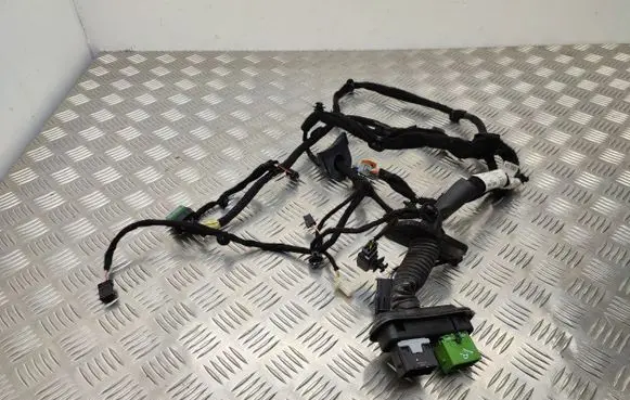 Front door wiring loom