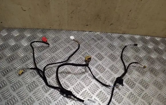 Seat Exeo (3R) Rear door wiring loom 3R0971693A