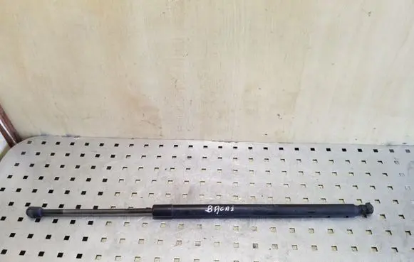 Tailgate/trunk strut/damper