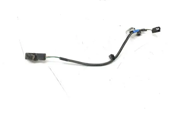 Renault Laguna III Other wiring loom 240255847R 00022105