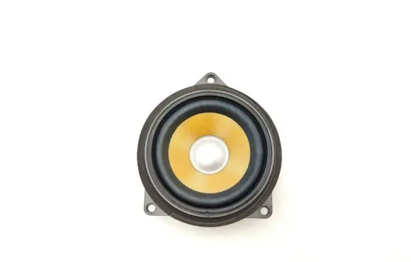 BMW 6 F12 F13 High frequency speaker in the rear doors 9224870