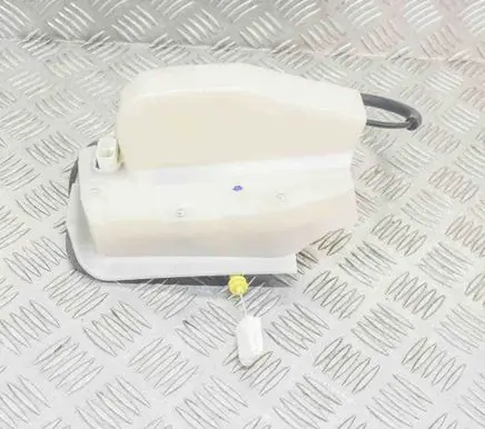 Tesla Model 3 Rear door lock 106896900M