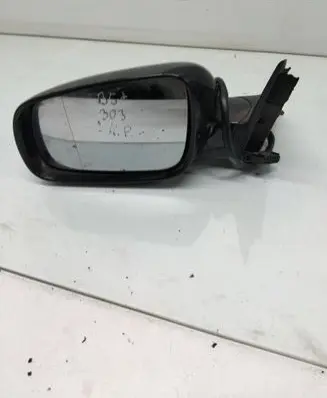 Volkswagen PASSAT B5.5 Front door electric wing mirror E1020479