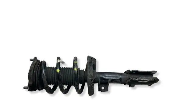 KIA Niro Front shock absorber with coil spring 54661Q4070