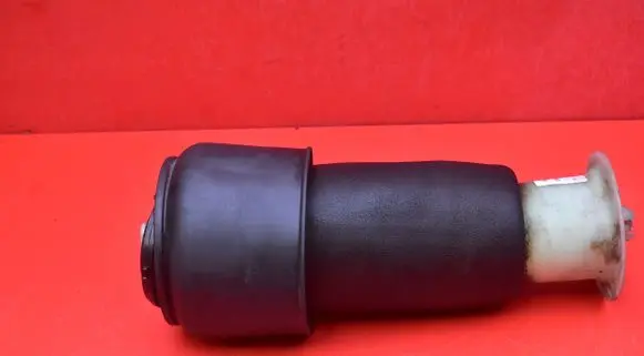 Rear shock absorber/damper