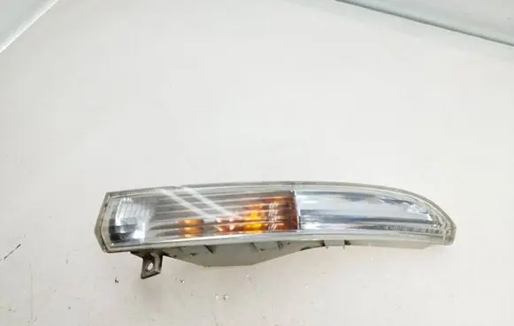 Volkswagen PASSAT CC Front indicator light 3C8953041