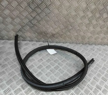BMW Z4 E89 Rubber seal front coupe door 7046101