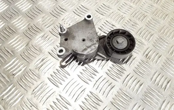 Peugeot 207 Generator/alternator belt tensioner 825809