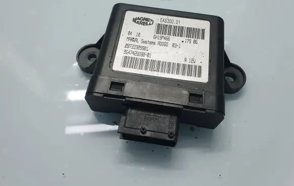 Peugeot 407 Other control units/modules 09733309901 964742828001