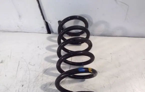 Opel Vivaro Front coil spring