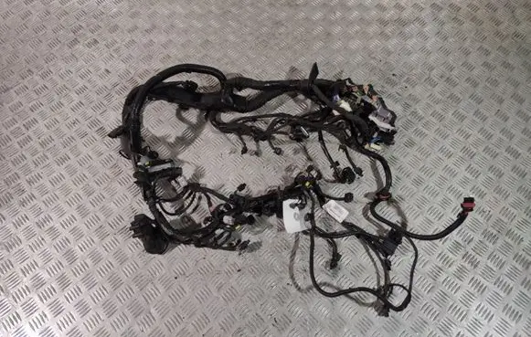 Engine installation wiring loom