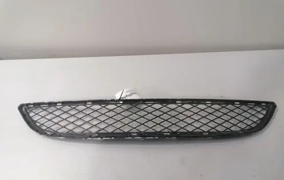 BMW X6 E71 Front grill 7176282