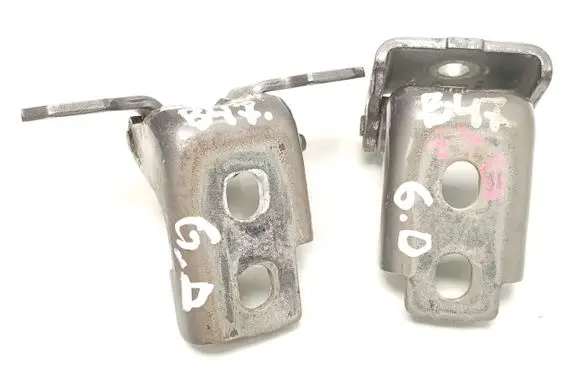 Renault Captur Rear door hinge set 804200003RK 804000016RF