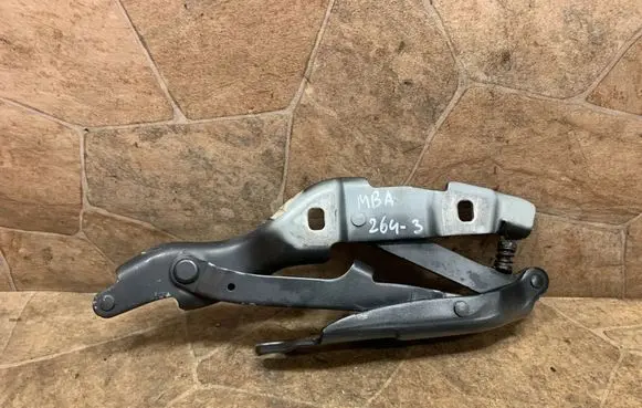 BMW Z4 E89 Engine bonnet/hood hinges 7191512