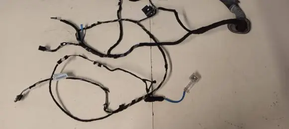 BMW 2 F22 F23 Front door wiring loom 9341000