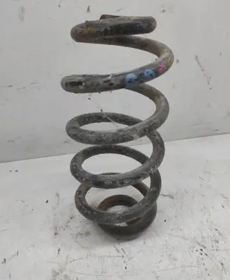Rear coil spring