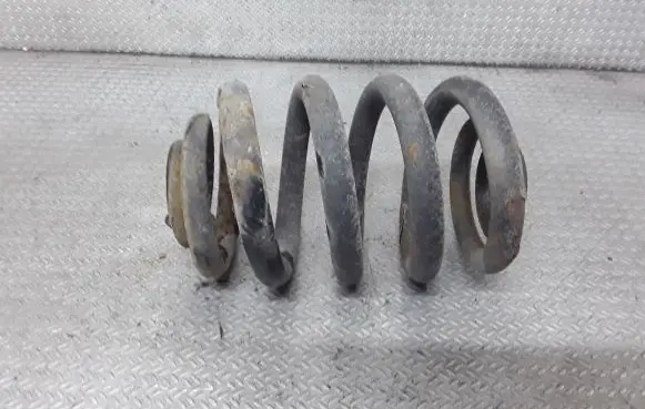 Rear coil spring