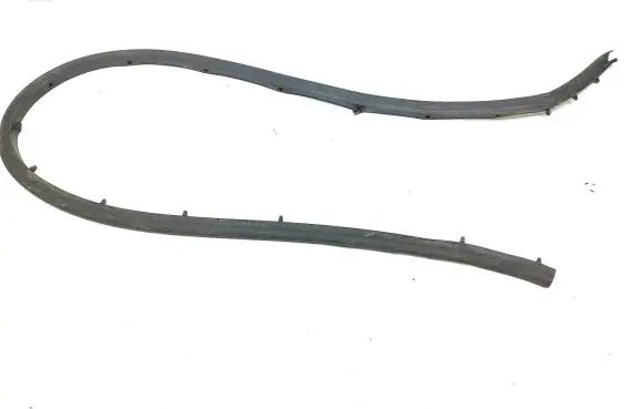 Renault Megane IV Rubber seal front door (on door) 