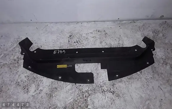 Engine bonnet/hood lock trim molding