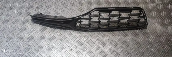 Maserati Quattroporte Front bumper upper radiator grill 670071072