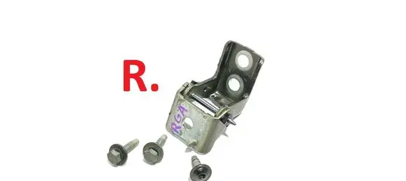 Rear door lower hinge