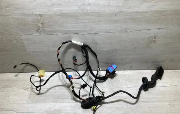 Front door wiring loom