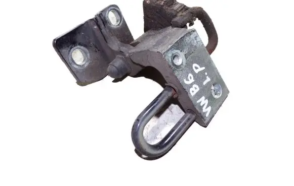 Volkswagen PASSAT B6 Front door lower hinge 