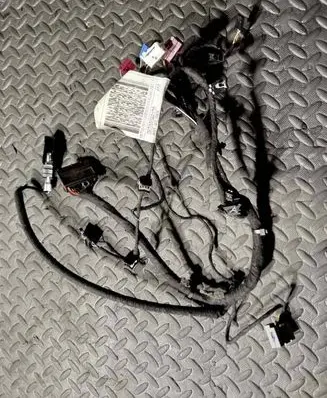 Maserati Ghibli Front door wiring loom 06700086120