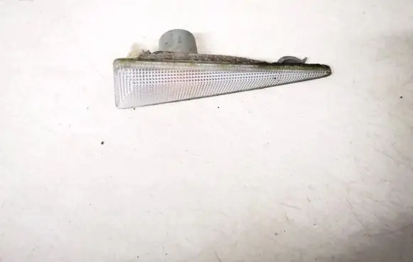 Front fender indicator light