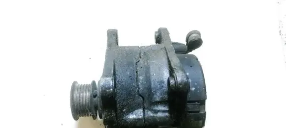 Seat Ibiza II (6k) Generator/alternator 0123315002 028903025h