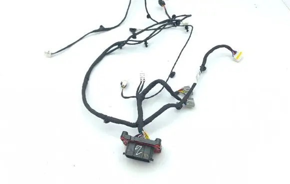 KIA Niro Other wiring loom 5517165F