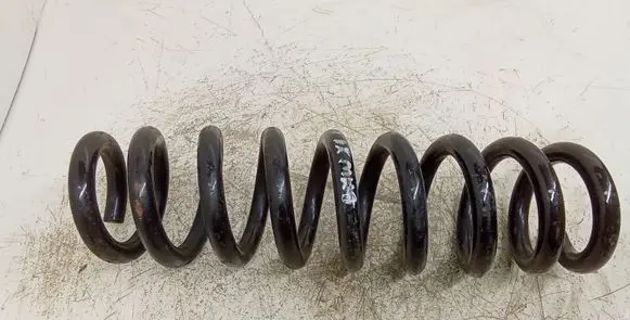 Rear coil spring