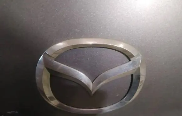 Manufacturer badge logo/emblem