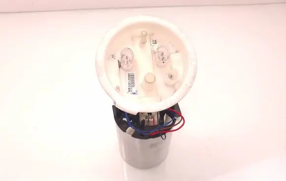 BMW X1 E84 In-tank fuel pump 6765717