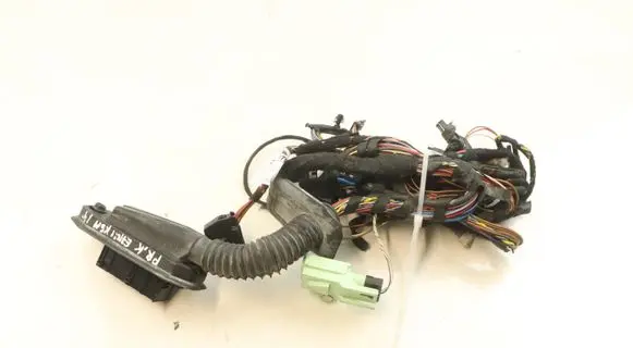 Front door wiring loom