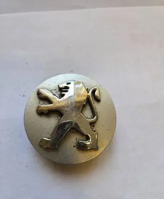 Peugeot 307 Non-original wheel cap 9639098380