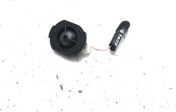 Renault Scenic E-Tech V Panel speaker 281480007R