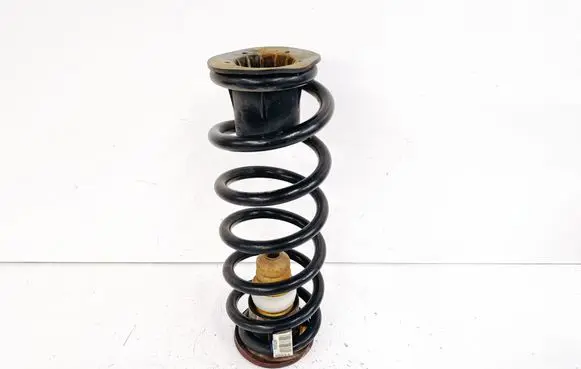 Rear coil spring