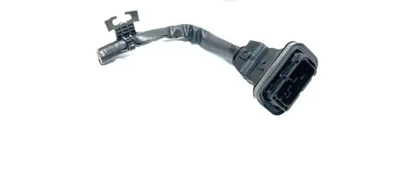 Rear door wiring loom