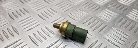 Volkswagen Golf IV Coolant temperature sensor 1009190017