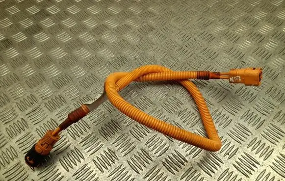 Other wiring loom