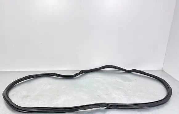 Audi A4 S4 B9 Front door rubber seal 8W0831721