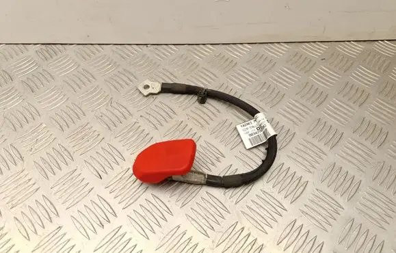 Citroen C4 III e-C4 Positive cable (battery) 9834292680