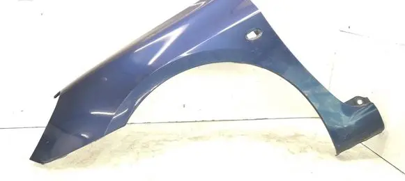Peugeot 307 Fender EGED