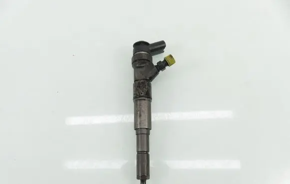 BMW 3 E46 Fuel injector 7789661 0445110131